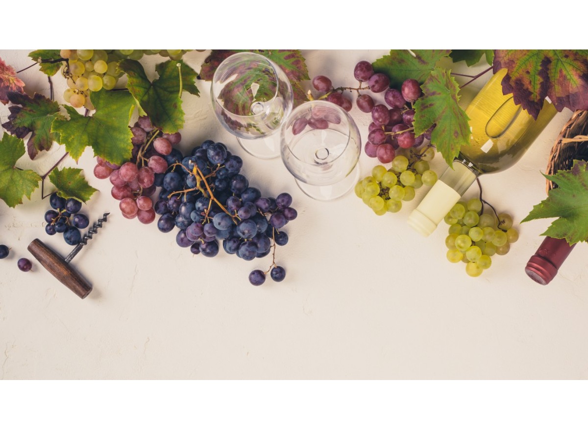 5 variedades de uva que definen el sabor de Vinozia